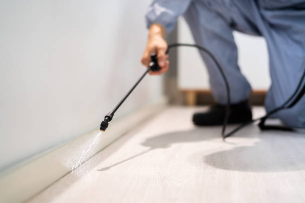Licensed Termite Control service in Ninnekah, OK - Show Me Pest Control